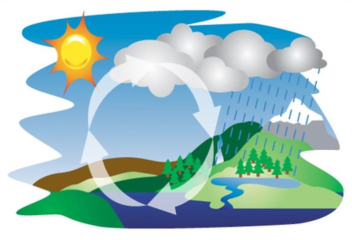 Rainforest Weather Cycle